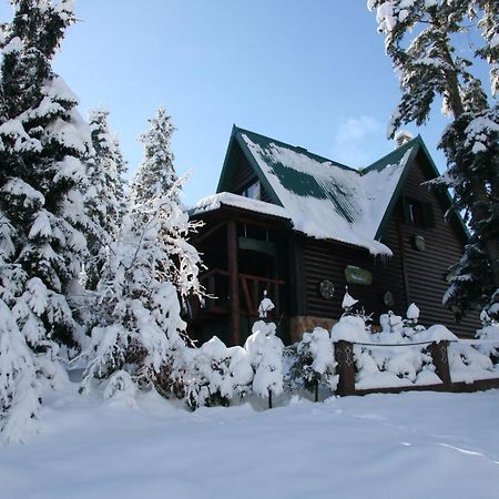 Durmitor Chalet Žabljak Zewnętrze zdjęcie