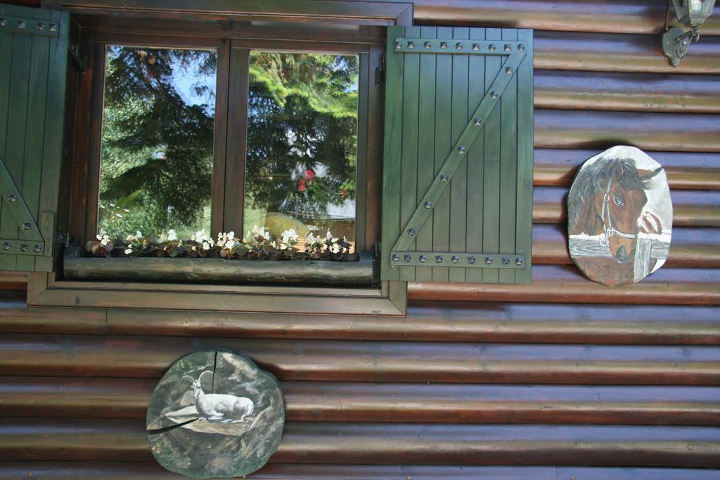 Durmitor Chalet Žabljak Zewnętrze zdjęcie