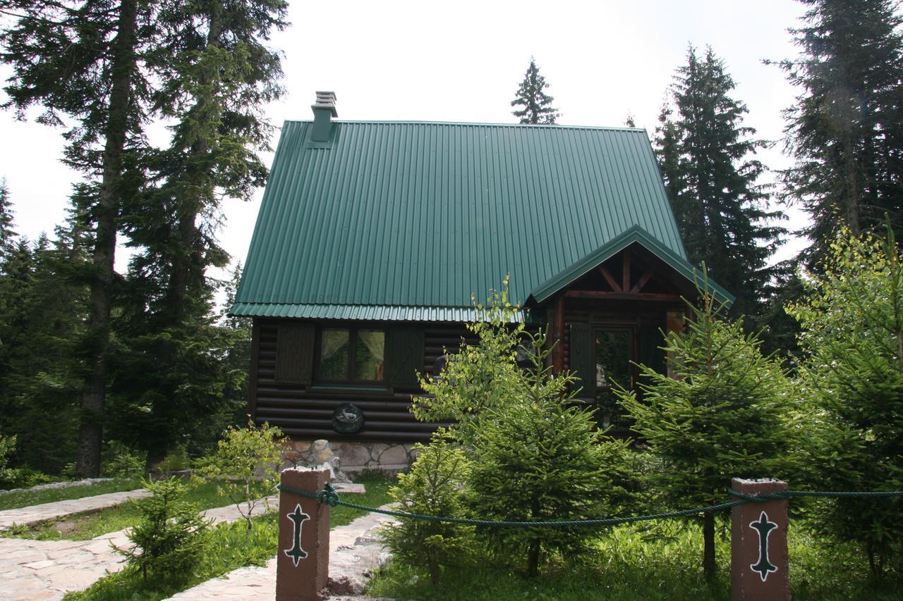 Durmitor Chalet Žabljak Zewnętrze zdjęcie