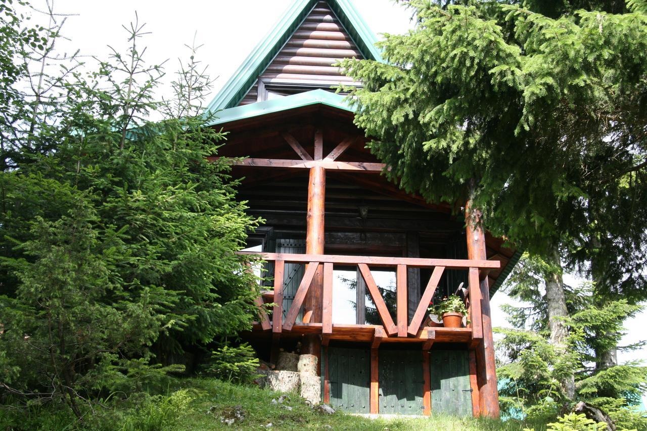 Durmitor Chalet Žabljak Zewnętrze zdjęcie