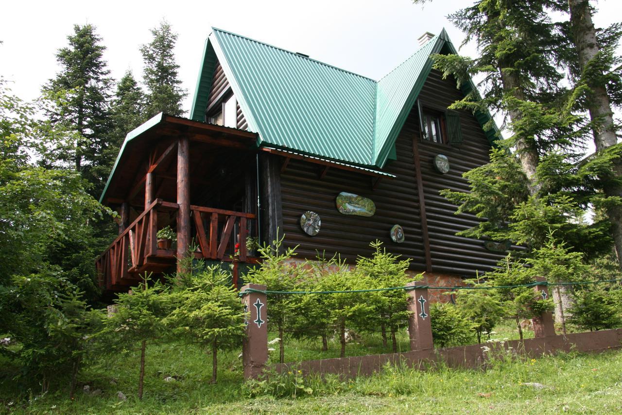 Durmitor Chalet Žabljak Zewnętrze zdjęcie