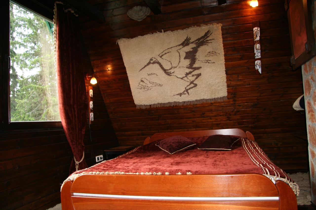 Durmitor Chalet Žabljak Zewnętrze zdjęcie