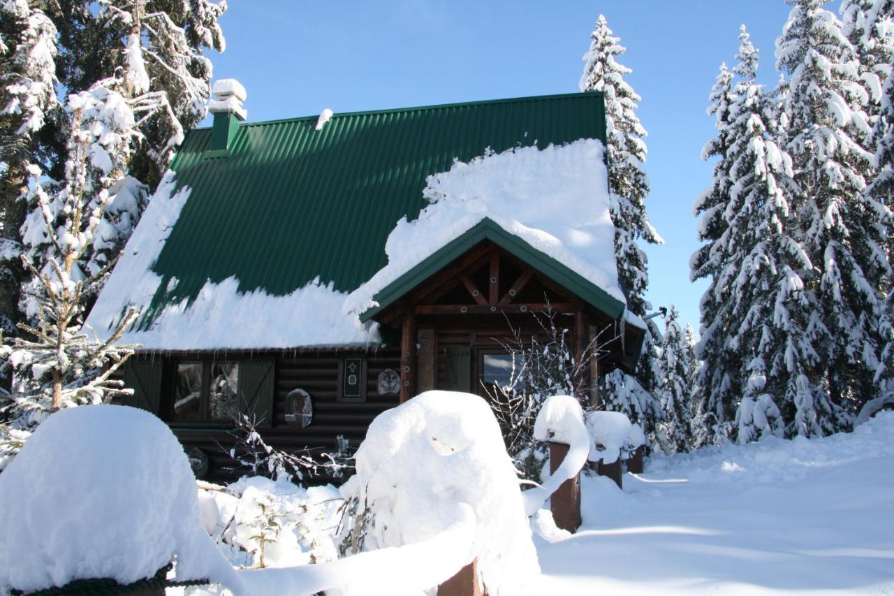 Durmitor Chalet Žabljak Zewnętrze zdjęcie